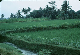 Java, Indonesia