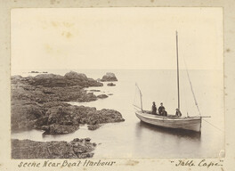 Scene near Boat Harbour - Table Cape (c1890)