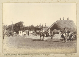 Thrashing machine Bramich's farm - Wynyard (c1890)