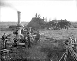 Shackleton threshing outfit
