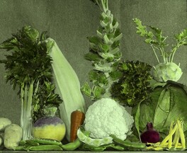 Vegetable Gardening