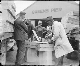 Apples being inspected at Queens Pier, Hobart, Tasmania (c1900s)