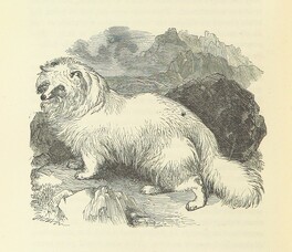 British Library digitised image from page 638 of "Notable Voyagers from Columbus to NordenskÃ¯old. By W. H. G. K. and H. Frith"