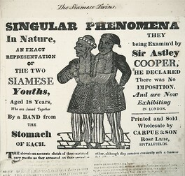 The Siamese twins