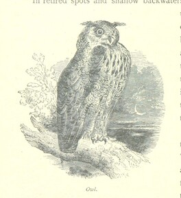 British Library digitised image from page 188 of "The Thames from its Source to the Sea ... Illustrated with ... engravings ... and ... etchings, etc"