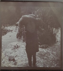 Carrying the prey across water. ; Photograph 2.