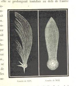 British Library digitised image from page 305 of "L'Espace cÃ©leste et la nature tropicale, description physique de l'univers ... prÃ©face de M. Babinet, dessins de Yan' Dargent"