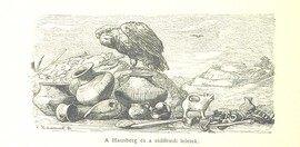 British Library digitised image from page 512 of "Az OsztrÃ¡k-Magyar Monarchia irÃ¡sban Ã©s kÃ©pben. Rudolf trÃ³nÃ¶rÃ¶kÃ¶s fÅ‘herczeg Å ... fensÃ©ge kezdemÃ©nyezÃ©sÃ©bÅ‘l Ã©s kÃ¶zremunkÃ¡lÃ¡sÃ¡val. (Die deutsche Ausgabe redigirt ... J. von Weilen, die ungarische M. JÃ³kai.)