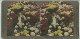 Surrounded by the flower gems of Autumn, Horticultural Hall, Fairmount Park, Philadelphia, Pa., U.S.A. c1908.