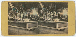 Sanitary Fair in Union Avenue