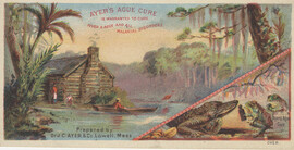 Dr. J.C. Ayer & Co.