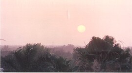 Image (27)