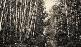 Road to Loon Lake 1920