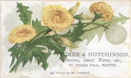 Tucker & Hutchinson
