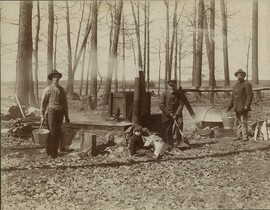 Sugar Bush, Grey Township, about 1900