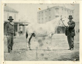 Thomas Dark, about 1880