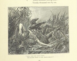 British Library digitised image from page 361 of "Illustrated British Ballads, old and new. Selected and edited by G. B. Smith"