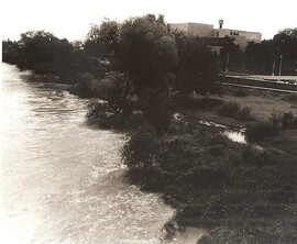 Image (8)