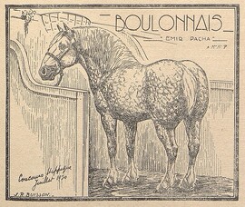 Cheval boulonnais