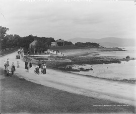 Walking Shelley - on a bike?