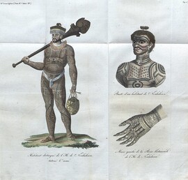 Tatouages d'un insulaire de Noukahiwa