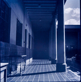 CAL14092.JPG