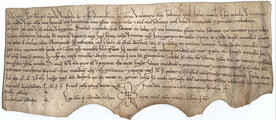Grant of Petrus Veremudi