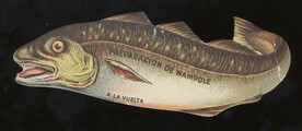 Preparacion De Wampole (Wampole's Preparation)