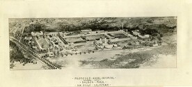 REEVE 0035163
