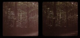 Max Neuscheller d1970_11_12