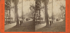 View in old park