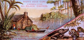 Ayer's Ague Cure: is warranted to cure all malarial disorders