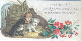 David Kimball & Co. Apothecaries