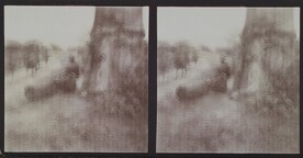 A big tree on the side of the road that leads to Madji Msuri in December 1909.