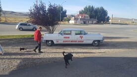 Suzanne Cable checks out both sides forward car in Rawlins WY.