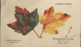 Pond's Extract Co.