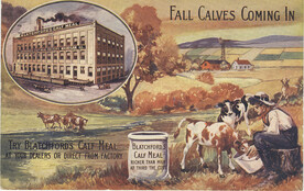 Blatchford's Calf Meal