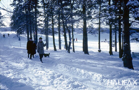 Point Pleasant Park