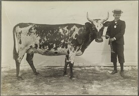 I.K Inha: Finnish Agriculture D2000_48_168