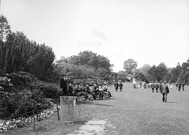 People strolling and sunning themselves in a park (Phoenix Park)