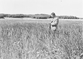 Kulutusosuuskuntien Keskusliiton kokoelma D1974_33_10548B