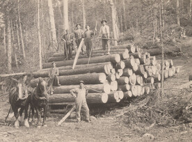 Moving logs, 1917