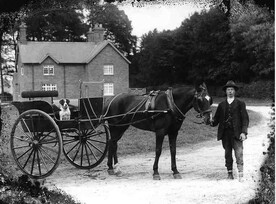 Man with horse & cart circa 1900 (archive ref DDX1319-1-9)