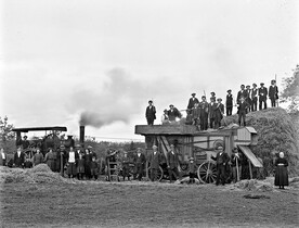 Whether it was thrashing or threshing it was always hard work!