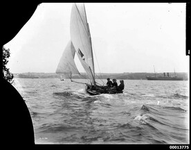 Mark Foy's FLYING FISH on Sydney Harbour