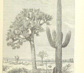 British Library digitised image from page 7 of "The Mynns' Mystery [A novel.]"