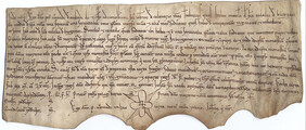 Grant of Petrus Veremudi