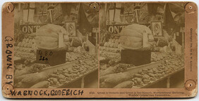 Stereograph of giant squash at Columbian Exposition, 1893