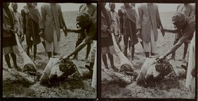 Men are chopping up a carcass on a study trip in Nairobi.