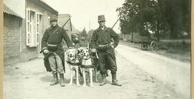 Mitrailleurs van het 7de Linieregiment poseren met hun honden | Machine gunners of the Belgian 7th Infantry Regiment pose with their dogs